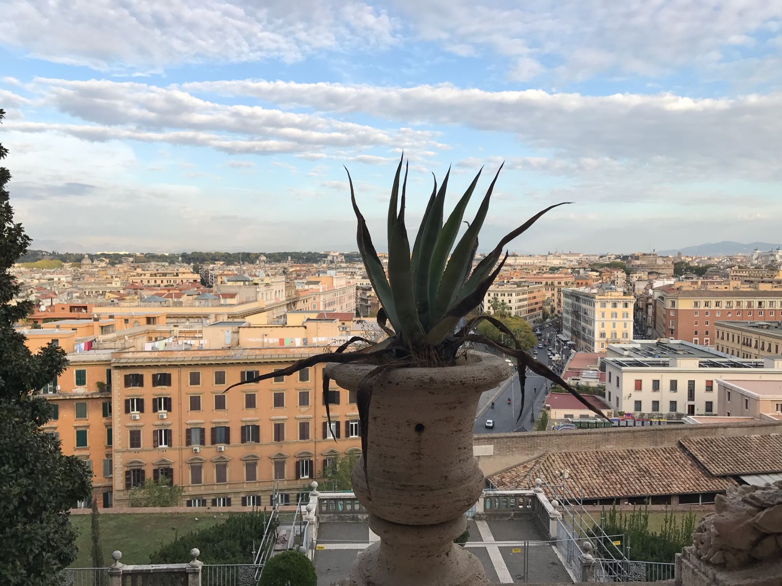 WhatsApp Image 2017 11 03 at 22.47.57